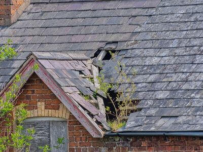 Professional water damage restoration services in Victorville - StreamNest Team